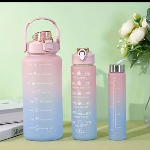 3 pcs. Motivation Water bottles. All 3 in one bottle! Choose your color combo!